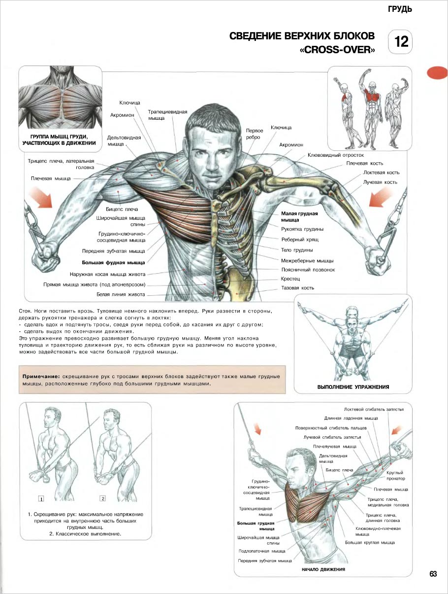 укрепление мышц груди у мужчин фото 17